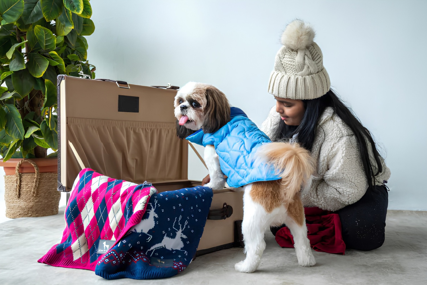 Pets Comfortable With Stylish Pet Clothes