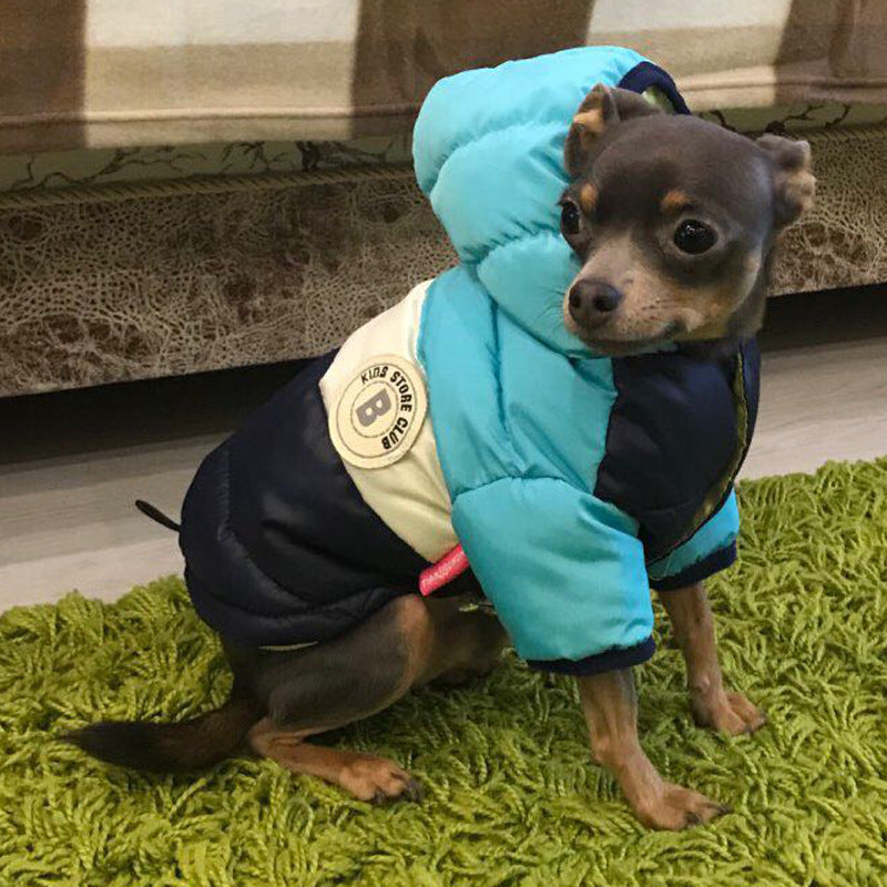 Waterproof Warm Padded Pet Jacket: The Ultimate Comfort for Your Furry Friend