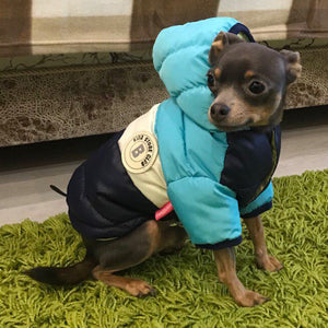 Waterproof Warm Padded Pet Jacket: The Ultimate Comfort for Your Furry Friend